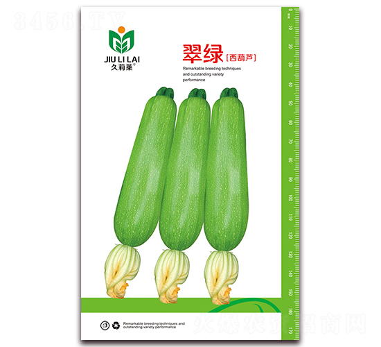 翠綠-菜用西葫蘆種子-金鵬種業(yè)
