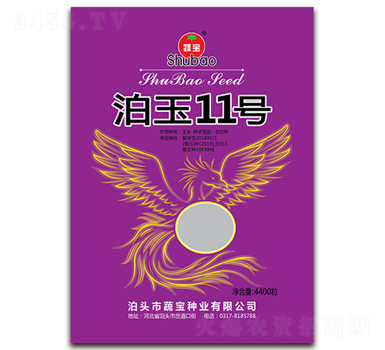 泊玉11號-玉米種子-蔬寶種業(yè)