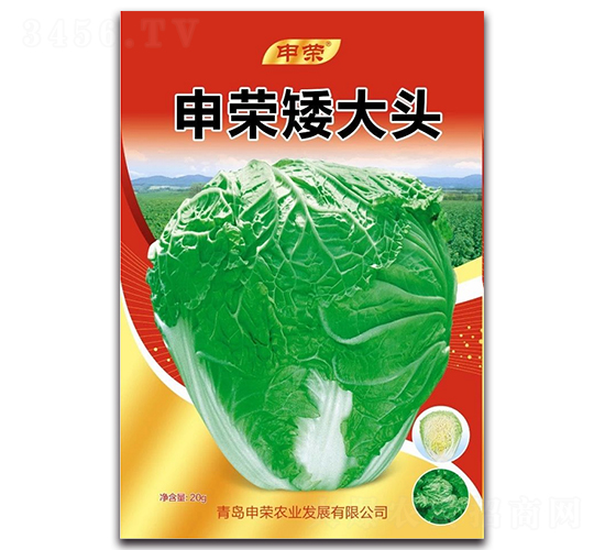 申榮矮大頭-大白菜種子-申榮農(nóng)業(yè)