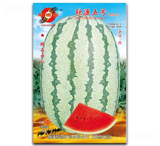 欣源五號-西瓜種子-欣源種業(yè)