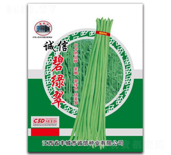 誠信碧綠翠-豇豆種子-誠信種業(yè)