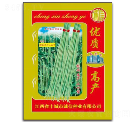 進(jìn)口無種小五葉-豇豆種子-誠信種業(yè)