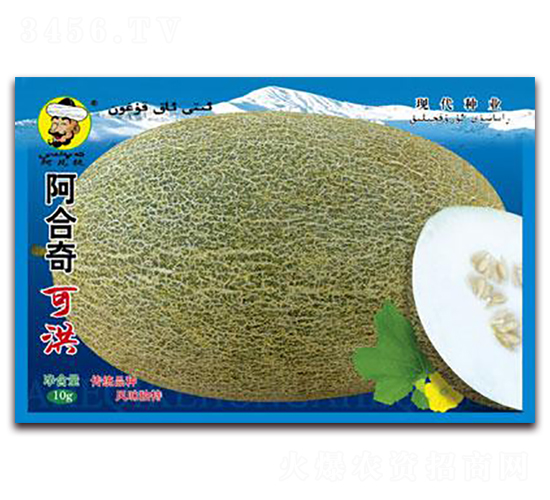 阿合奇可洪-甜瓜種子-現(xiàn)代種業(yè)