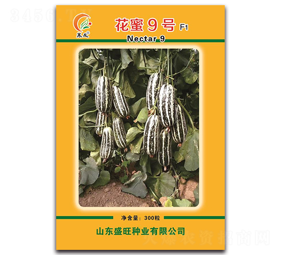 花蜜9號F1-甜瓜種子-盛旺種業(yè)