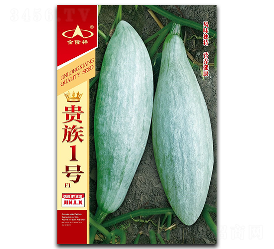 貴族1號(hào)-南瓜種子-金隆祥