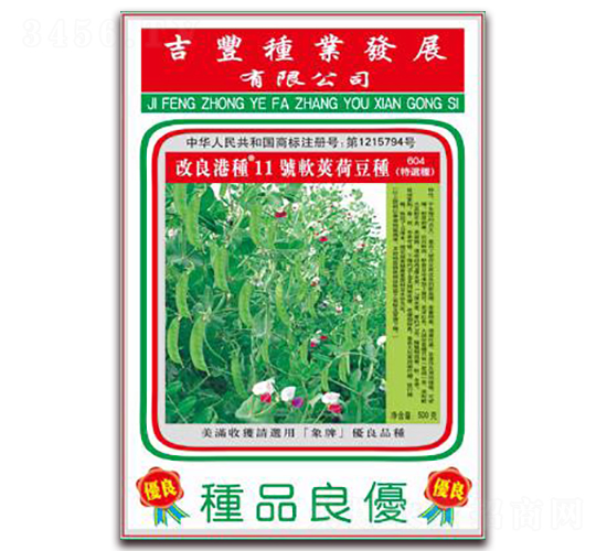 改良港種11號軟莢荷豆種(604特選種)-荷蘭豆種子-吉豐種業(yè)