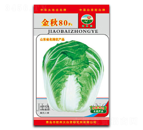 金秋80F1-白菜種子-膠白