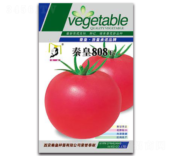 秦皇808F1-番茄種子-秦皇