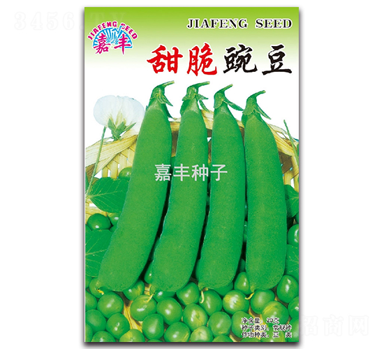 甜脆豌豆-豌豆種子-嘉豐種子