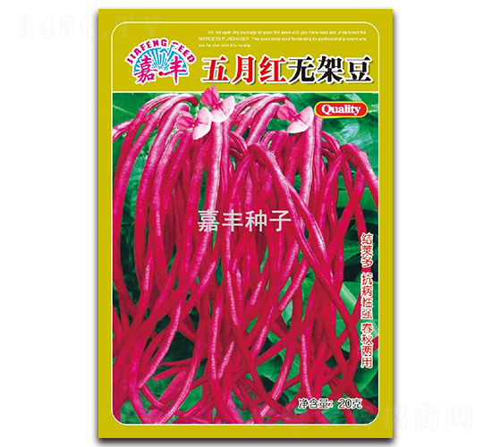 五月紅無(wú)架豆-架豆種子-嘉豐種子