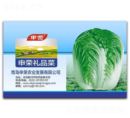 申榮禮品菜-白菜種子-申榮農(nóng)業(yè)
