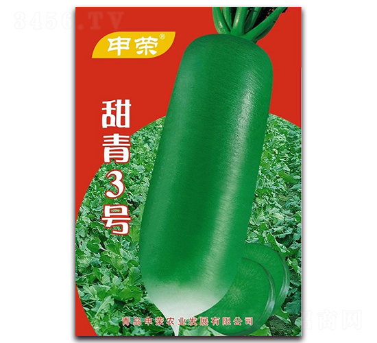 甜青3號-蘿卜種子-申榮農(nóng)業(yè)