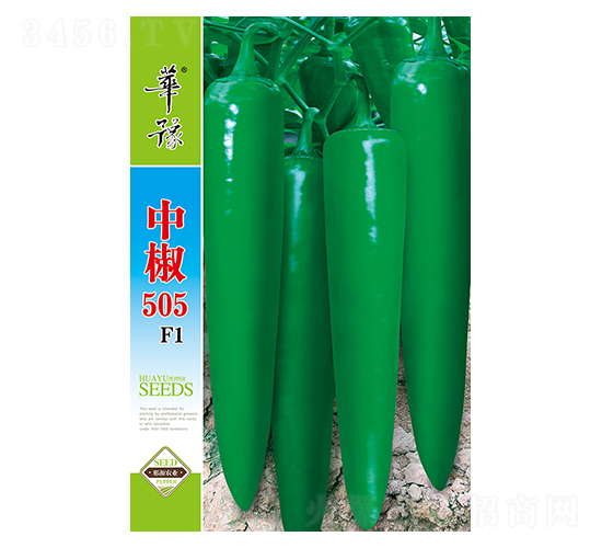 中椒505F1-辣椒種子-邢源農(nóng)業(yè)