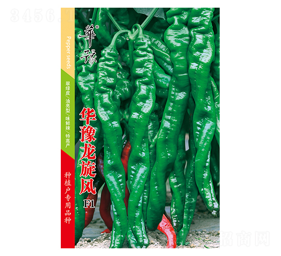 華豫龍旋風F1-辣椒種子-邢源農(nóng)業(yè)
