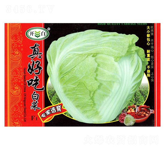 真好吃白菜-白菜種子-邢源農(nóng)業(yè)
