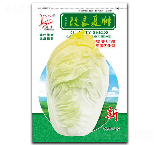 改良夏帥-白菜種子-閩皇種業(yè)