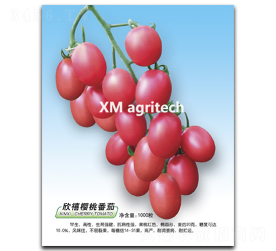 欣禧-櫻桃番茄種子-夏農(nóng)農(nóng)業(yè)