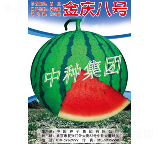 金慶八號-西瓜種子-中種集團(tuán)