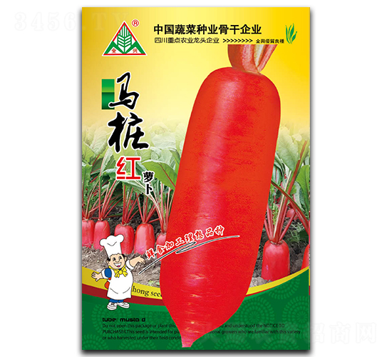馬樁紅-長紅皮蘿卜種子-全興種業(yè)