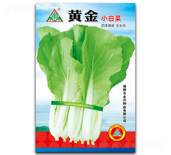 黃金小白菜-小白菜種子-全興種業(yè)