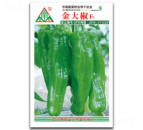 金大椒-菜椒種子-全興種業(yè)