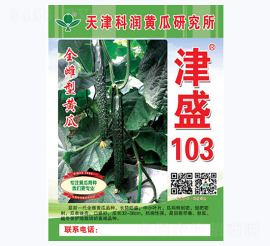 津盛103-黃瓜種子-科潤種業(yè)