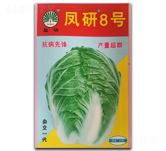 鳳研8號(hào)-白菜種子-鳳凰種業(yè)