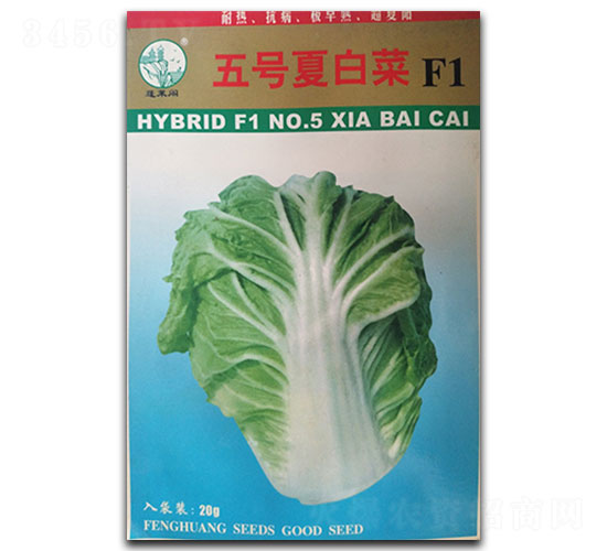 五號(hào)夏白菜-白菜種子-鳳凰種業(yè)