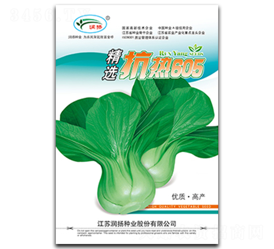 精選抗熱605-小白菜種子-潤揚(yáng)種業(yè)