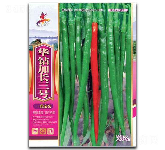 華鉆加長(zhǎng)三號(hào)-辣椒種子-華一種業(yè)