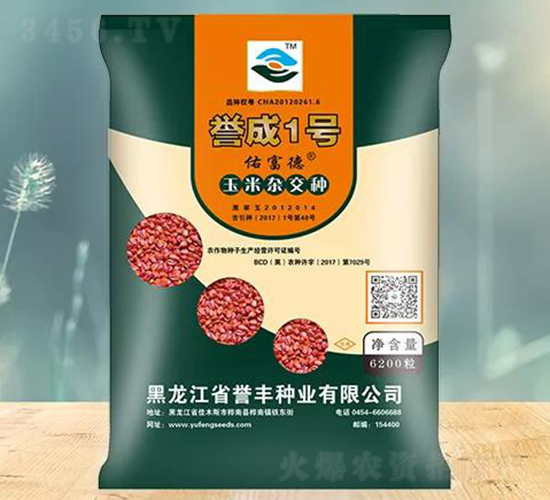 譽成1號玉米雜交種子-譽豐