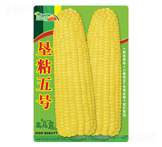 玉米種子-墾粘五號(hào)-科星