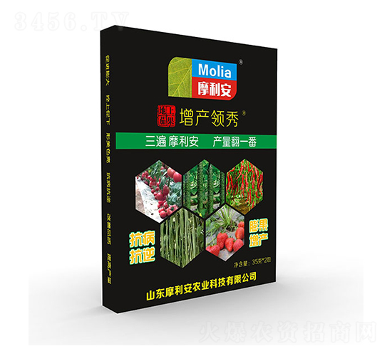 地上茄果增產(chǎn)領(lǐng)秀-摩利安