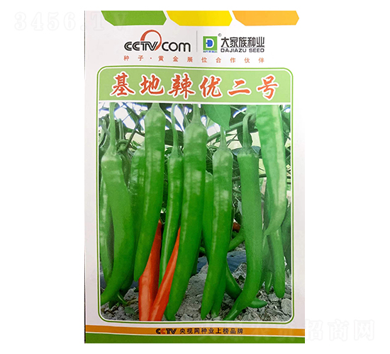 基地辣優(yōu)二號(hào)-辣椒種子-大家族種業(yè)