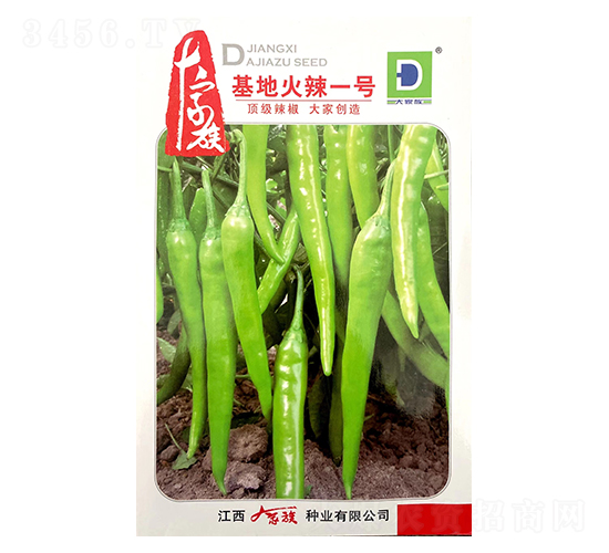 基地火辣一號(hào)-辣椒種子-大家族種業(yè)