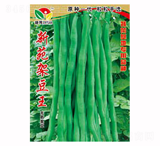新苑架豆王-鑫禾農(nóng)業(yè)