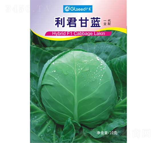 利君甘藍(lán)-甘藍(lán)種子-廣良