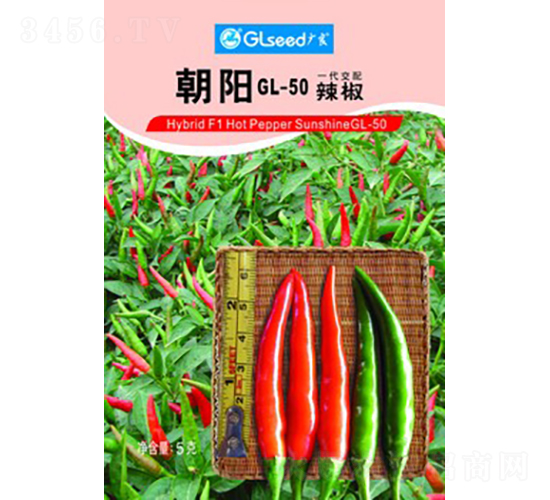 朝陽(yáng)GL-50辣椒-辣椒種子-廣良