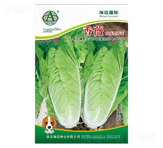 香薇-大白菜種子-海邁國(guó)際