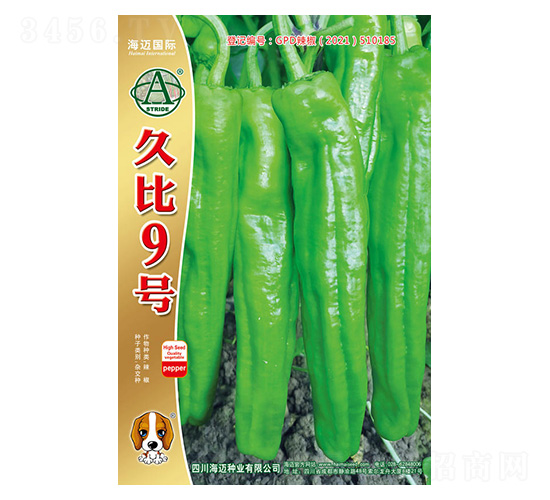 久比9號(hào)-辣椒種子-海邁國際