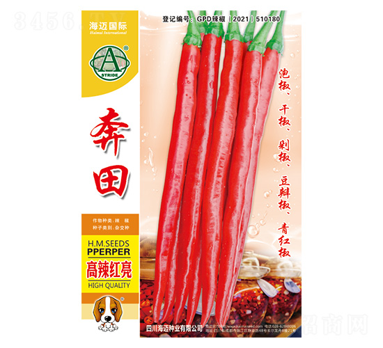 奔田-辣椒種子-海邁國際