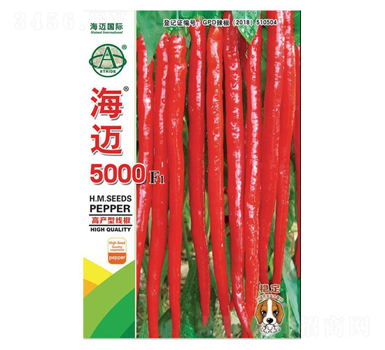 海邁5000-辣椒種子-海邁國際
