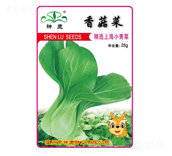 香菇菜-青梗菜種子-神鹿種業(yè)