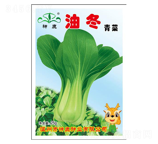 油冬-青梗菜種子-神鹿種業(yè)