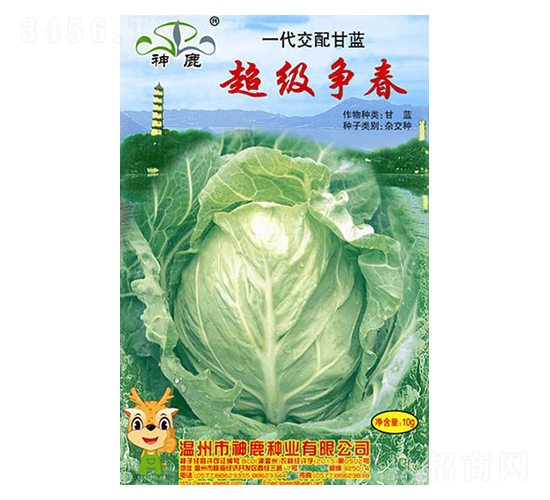 爭春甘藍種子-神鹿種業(yè)