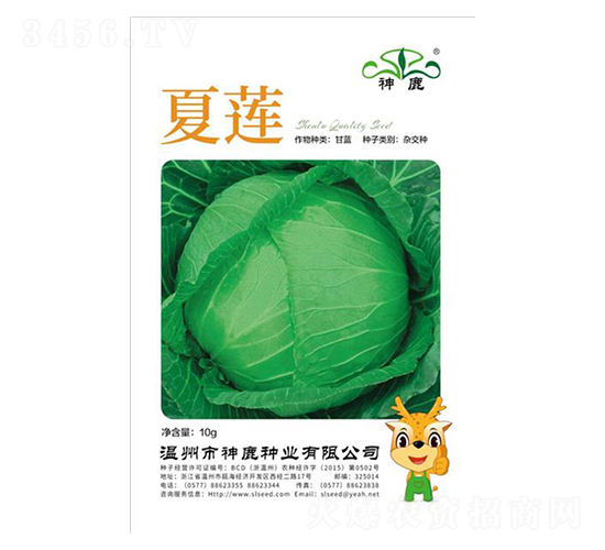 夏蓮甘藍種子-神鹿種業(yè)