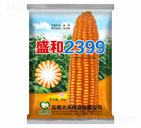玉米種子-盛和2399-大天種業(yè)