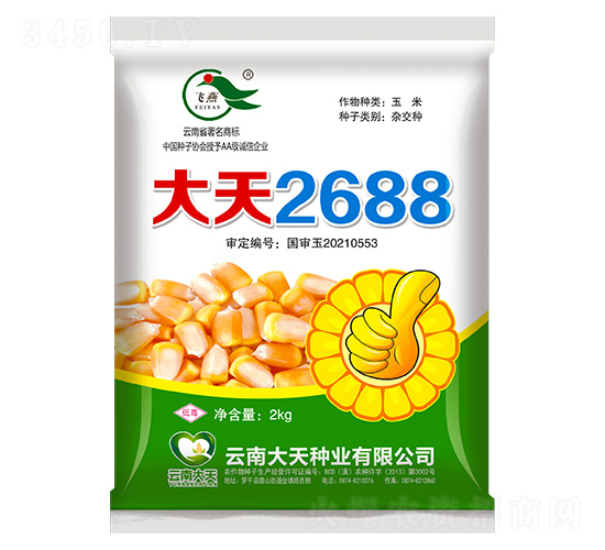 玉米種子-大天2688-大天種業(yè)