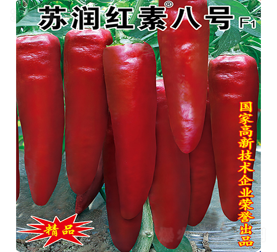 蘇潤(rùn)紅素八號(hào)-辣椒種子-蘇潤(rùn)種業(yè)