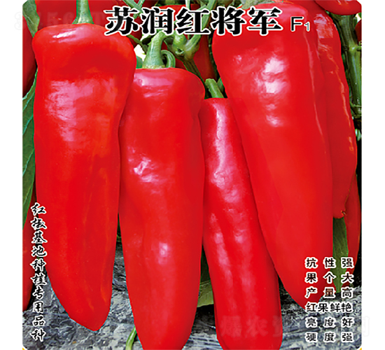 蘇潤(rùn)紅將軍-辣椒種子-蘇潤(rùn)種業(yè)